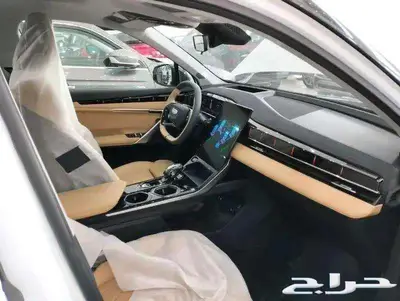 جيلي ستار راي GFبلص 2.0 2024 11