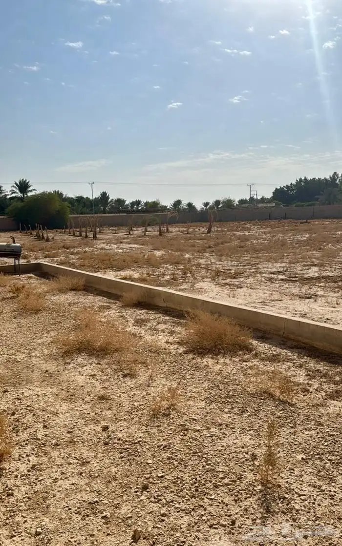 استراحه للبيع في المزاحميه المساحه 10 الاف متر 0