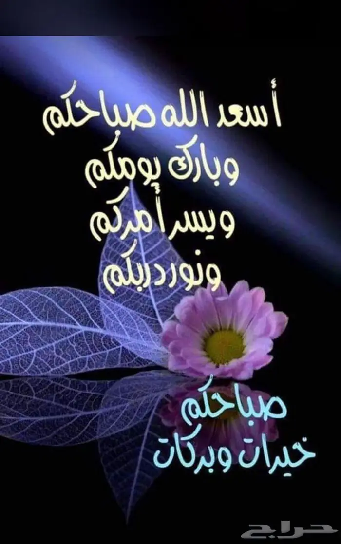 فحص سيارت حفرالباطن 0