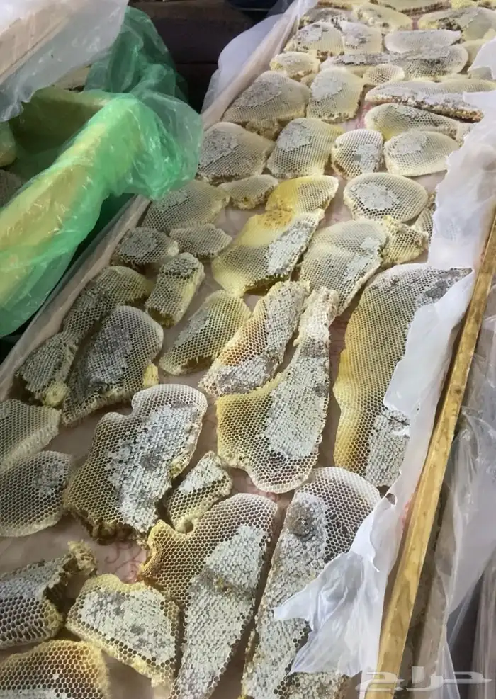شمع وعسل سايل طلحة حائل 2