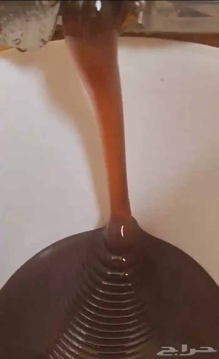 شمع وعسل سايل طلحة حائل 3