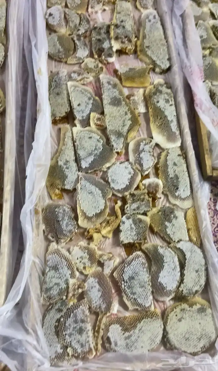 شمع وعسل سايل طلحة حائل 1