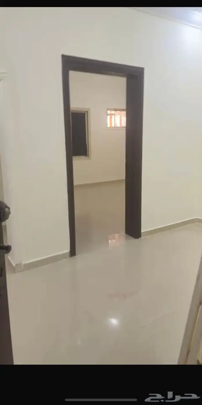 احتاج شقه من غرفتين غير مفروشه للايجار عزاب 0