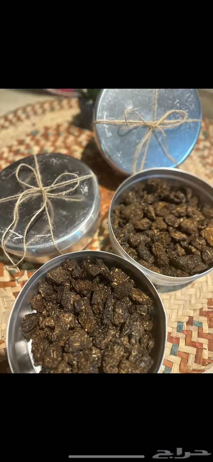 متوفر بخور حساوي متوفر بخور المستكة المعطره 6