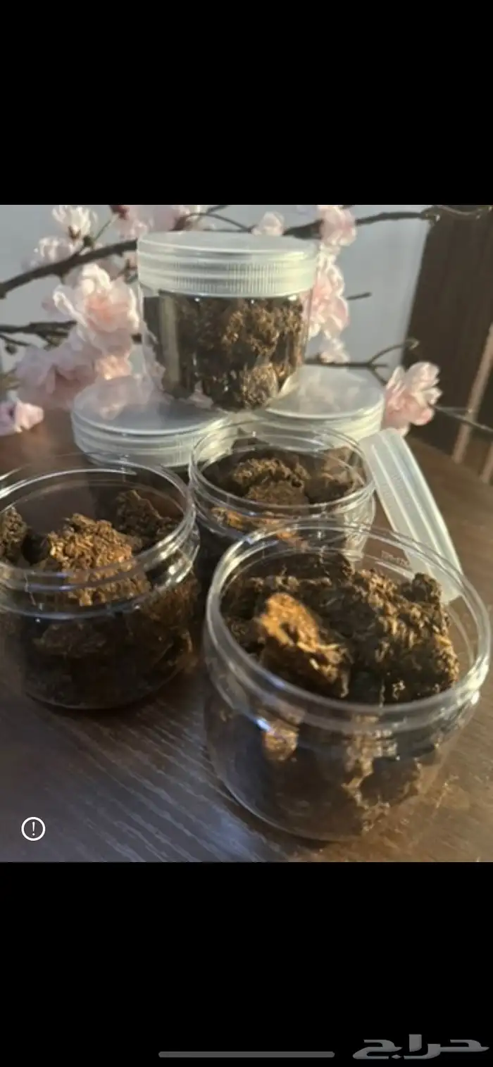 متوفر بخور حساوي متوفر بخور المستكة المعطره 8