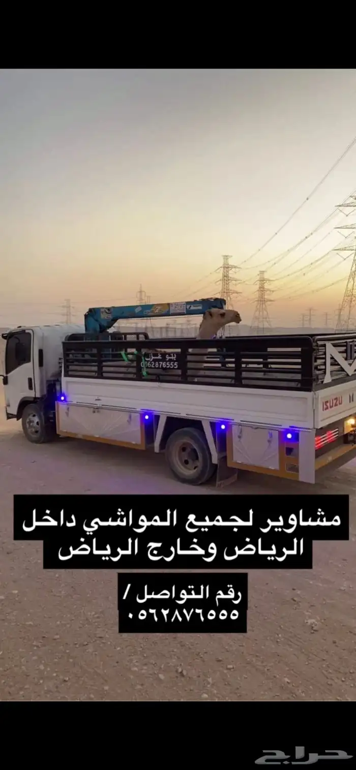 دنه مشاوير للابل والغنم وسحب غرف 0