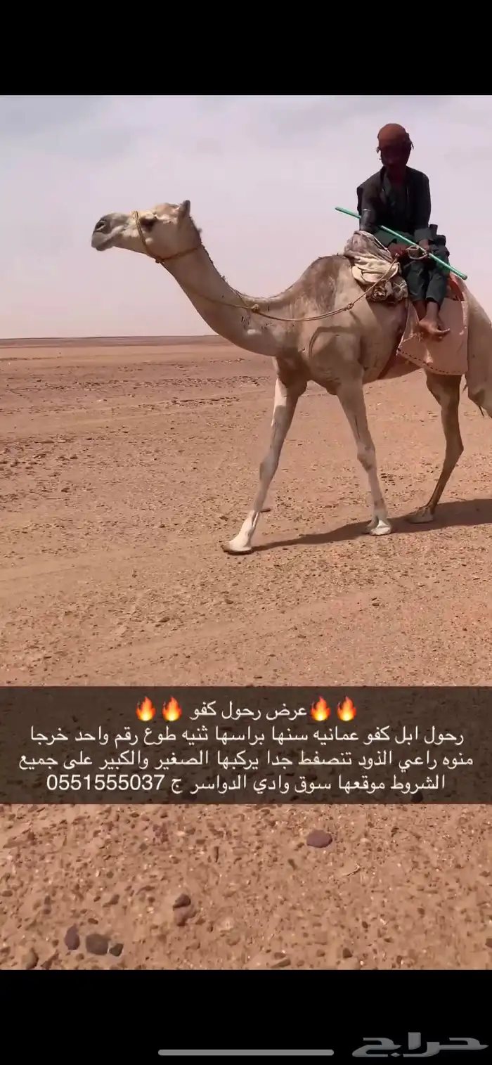 رحول ابل كفو 1