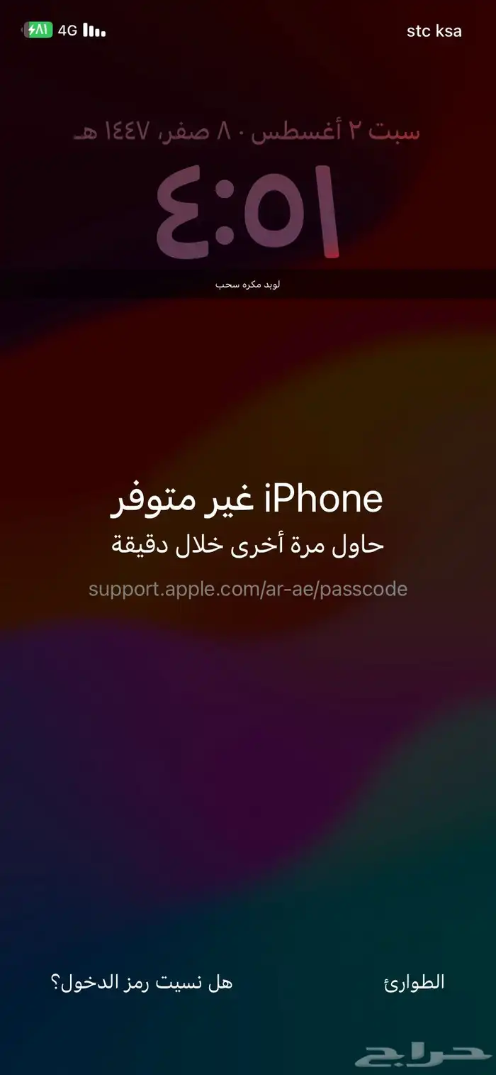 لوبد مكره في حايل 0