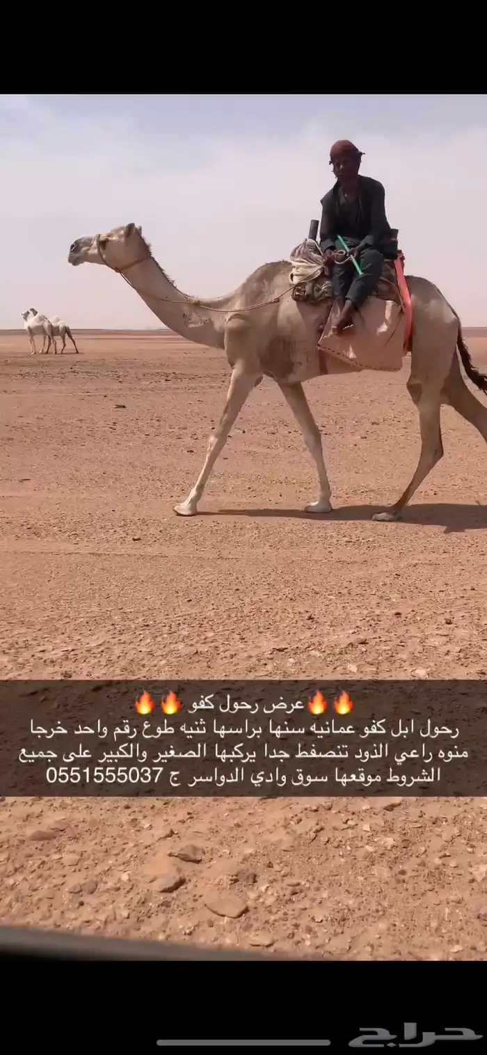 رحول ابل كفو 2