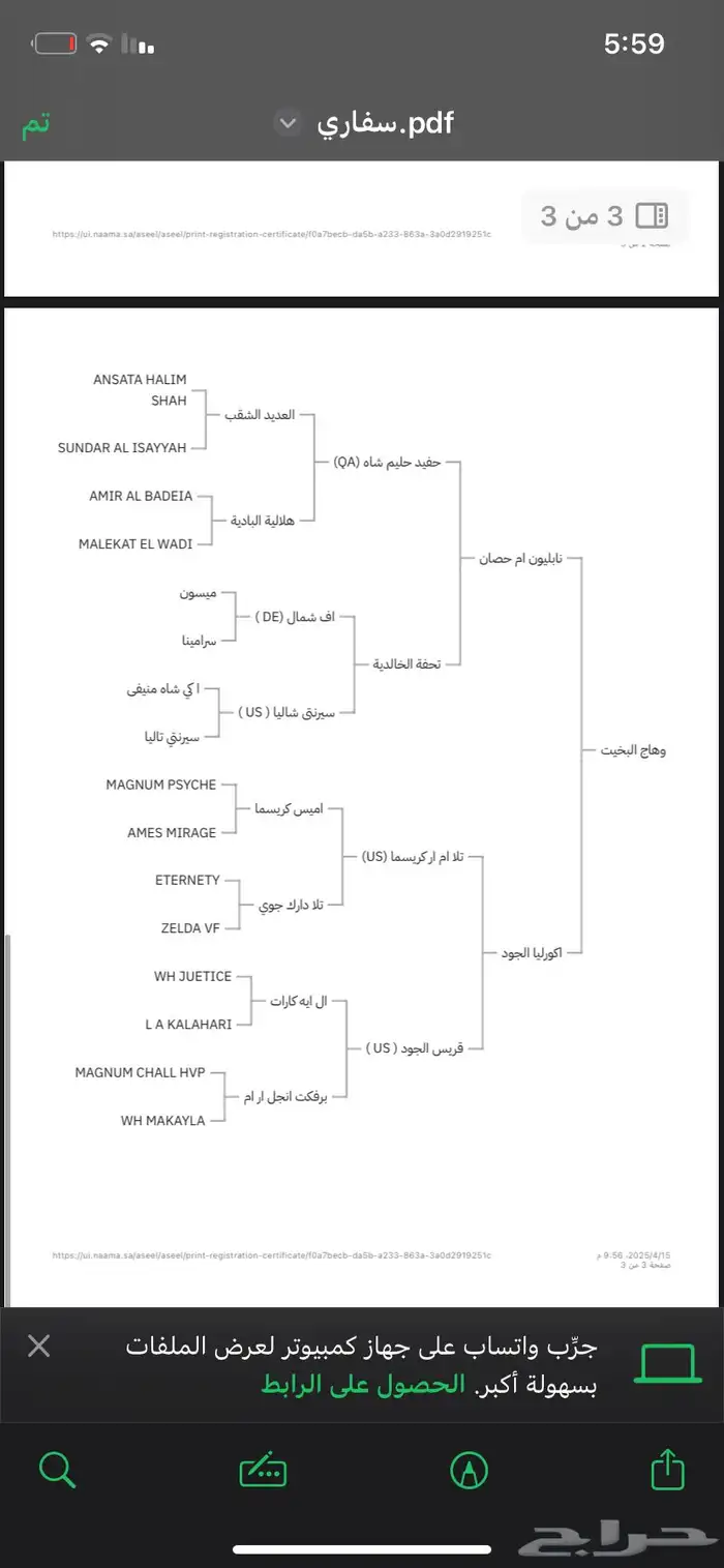 حصان ورق 1