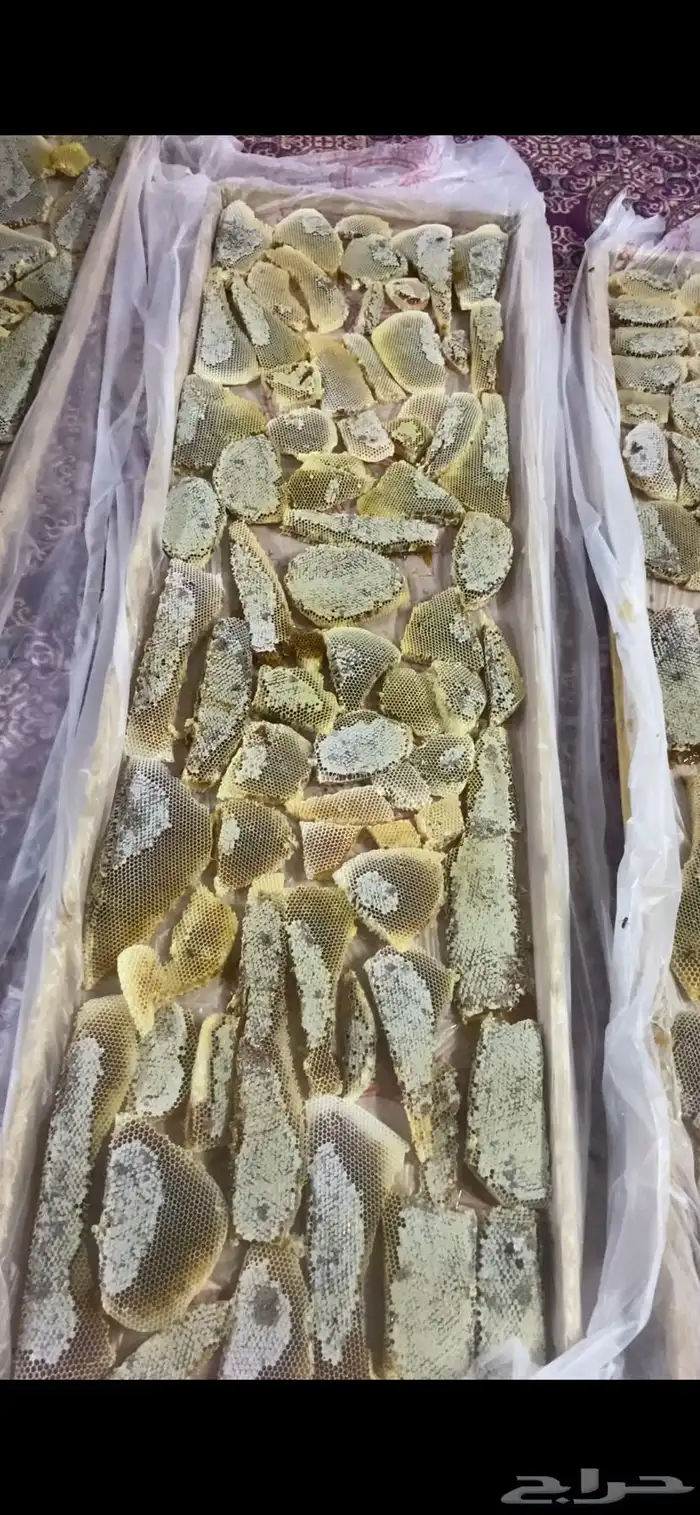 شمع وعسل سايل طلحة حائل 0
