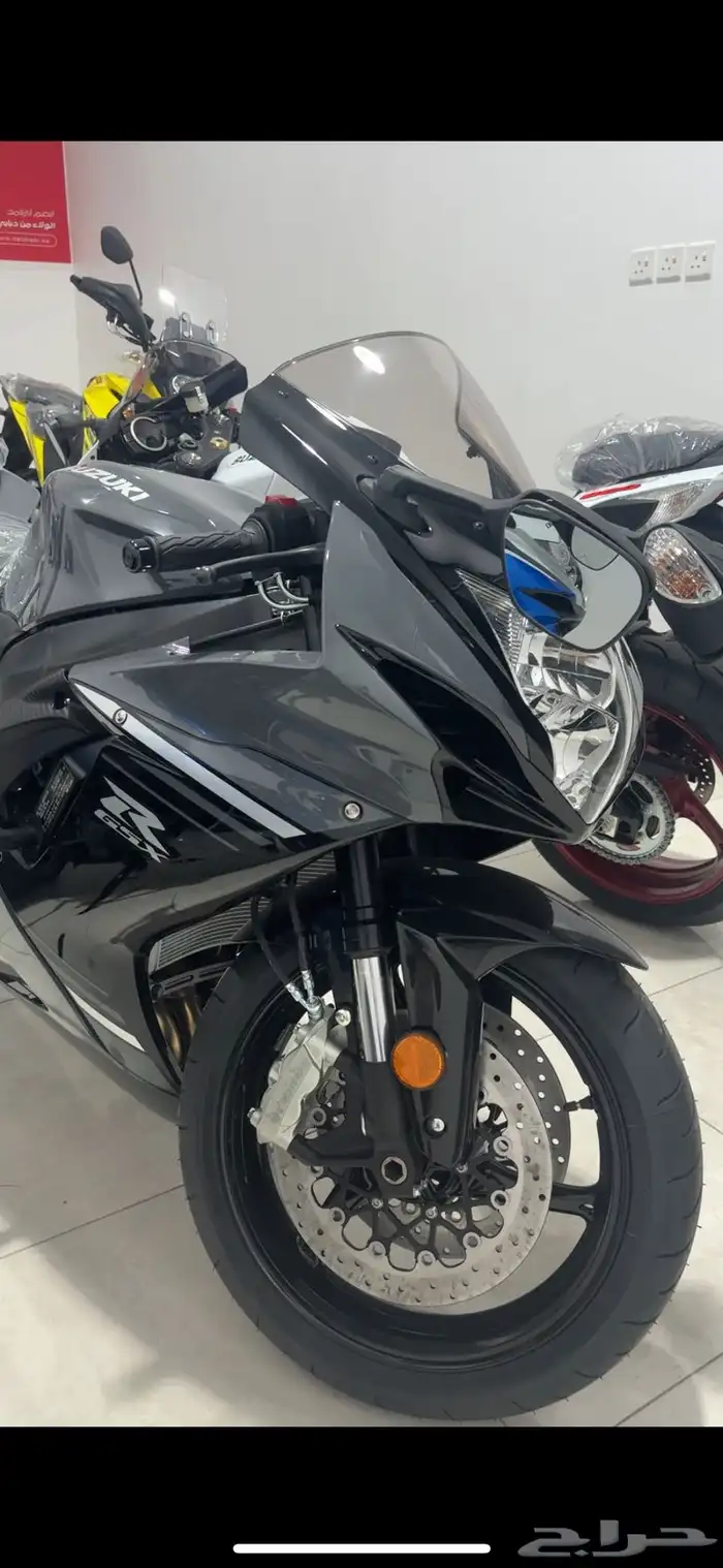 ريس 600 ايجار يومي 6