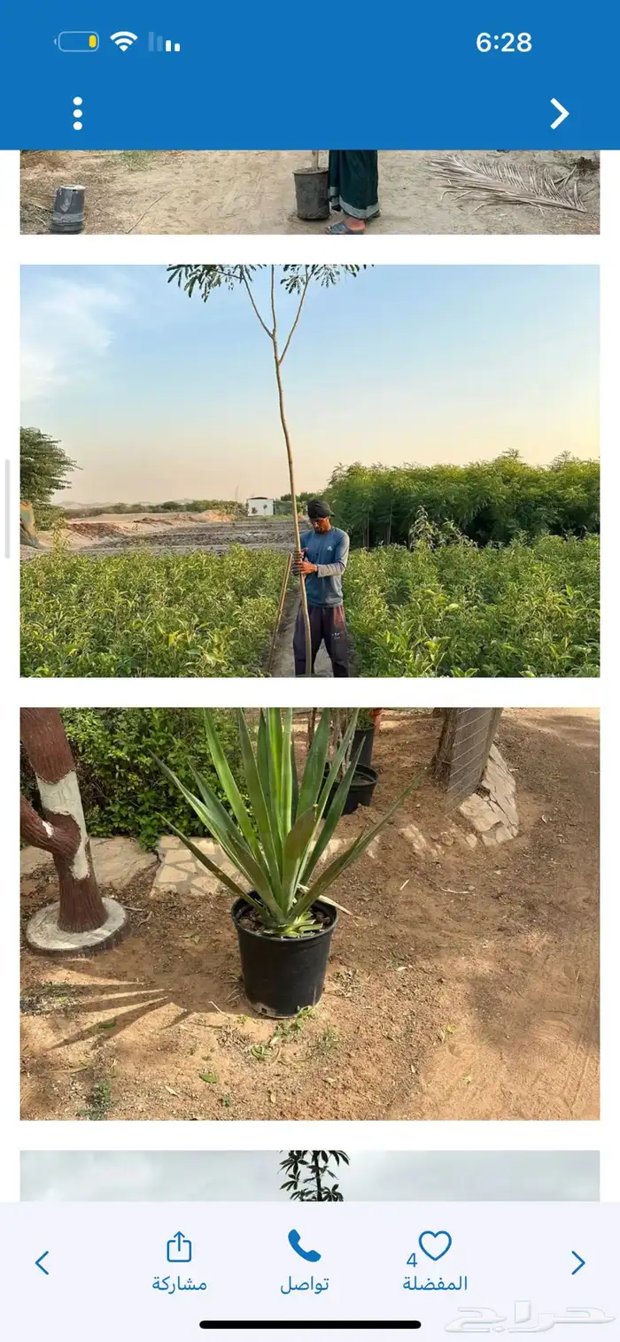 اشجار ونبتات 0