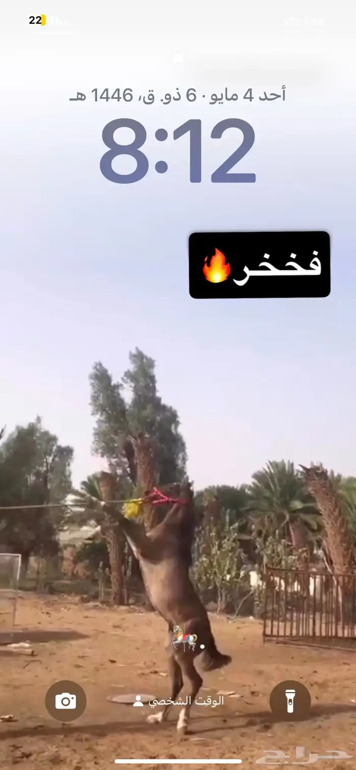 مهر شعبي 5