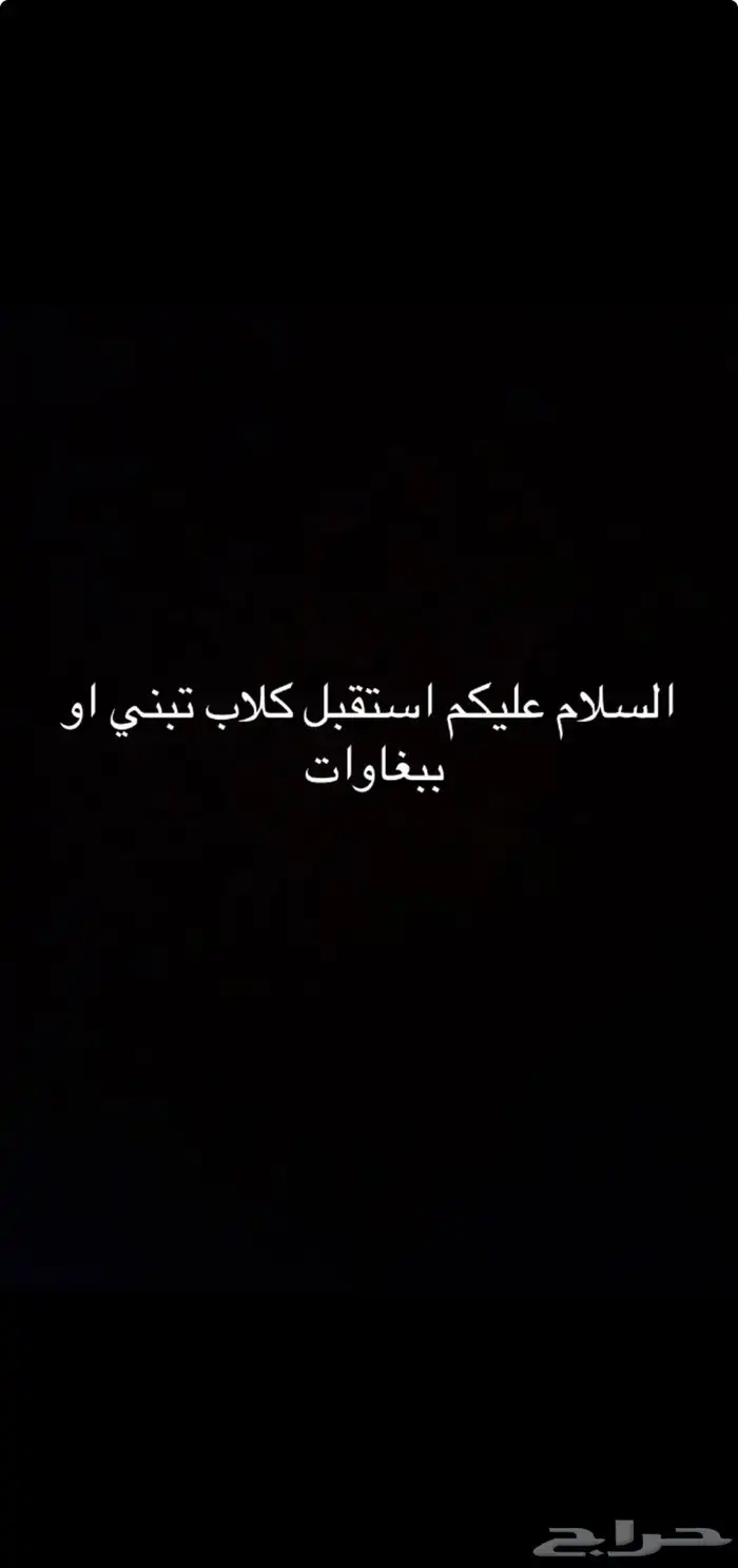 استقبل كلاب تبني او ببغاوات 0