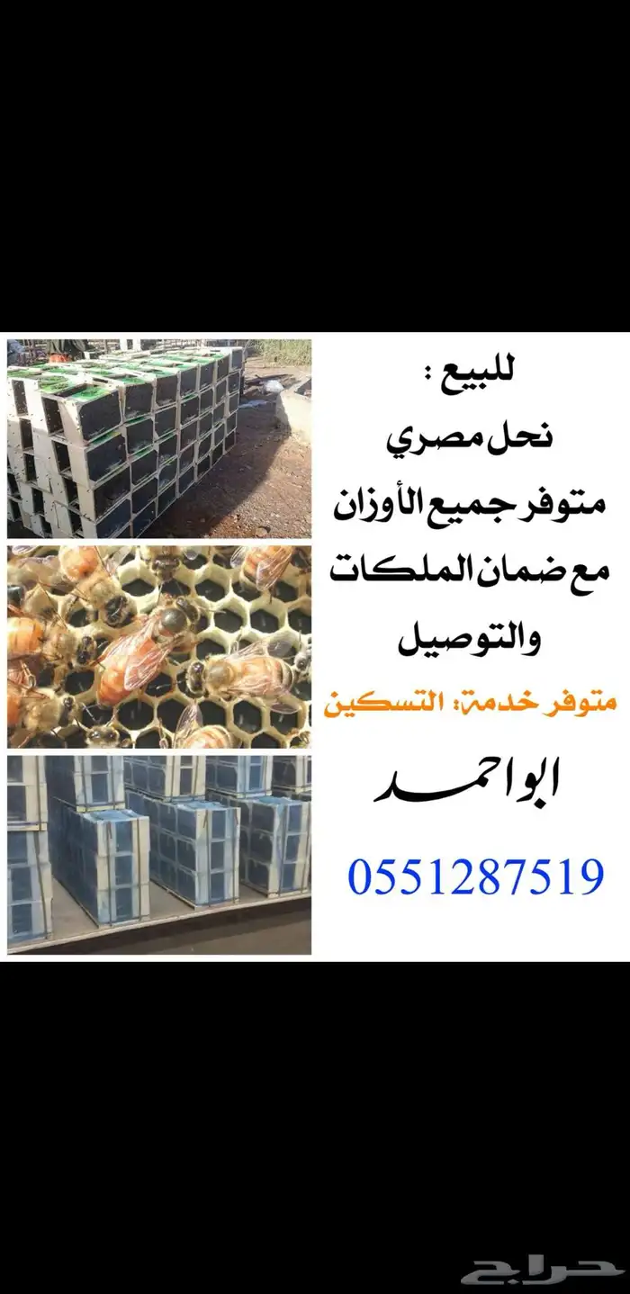 بسم الله نبدأ موسم القتاد والقرضه والسدره 0