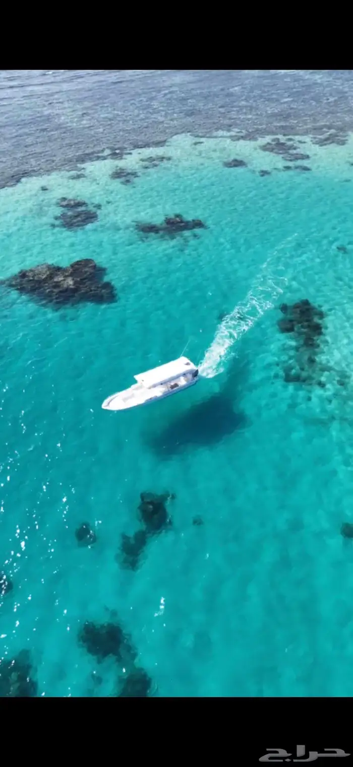 جزيرة بياضه ورحلات صيد ونزهه 13