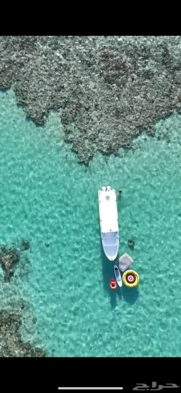 جزيرة بياضه ورحلات صيد ونزهه 16