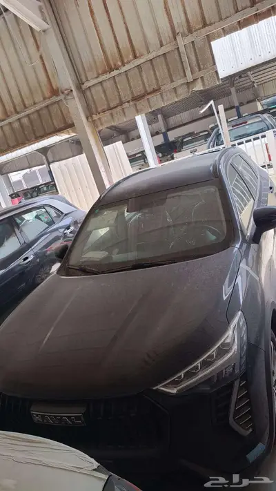 هافال جوليان اكتف سعودى 2025 0
