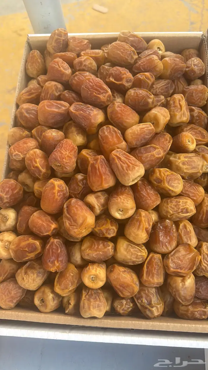 جالكسي تمر 1