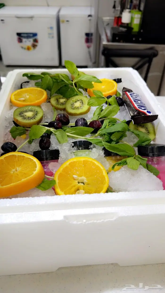 جزيرة بياضه ورحلات صيد ونزهه 7