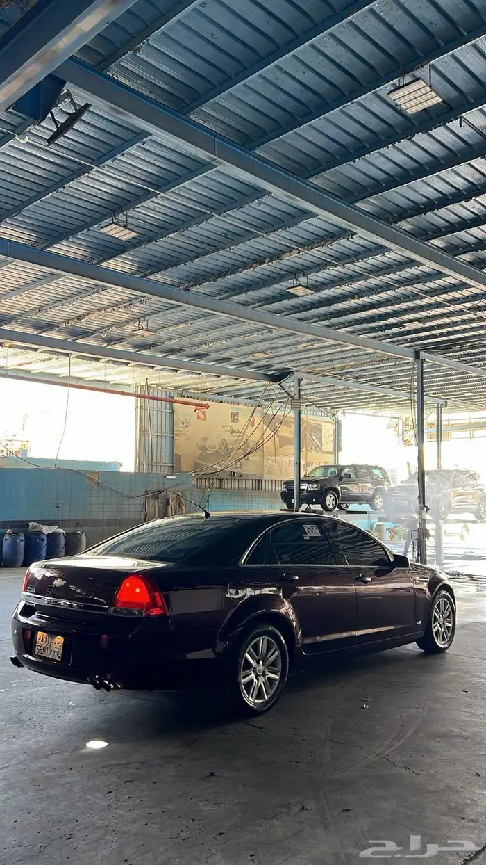 كابرس 2013 LS 11