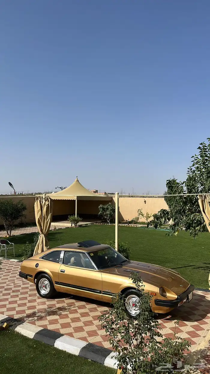 زد اكس فورسيت 6