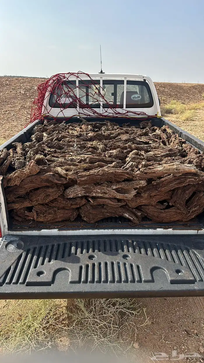 حطب ارطى مسحت صندوق غماره ب 700 0
