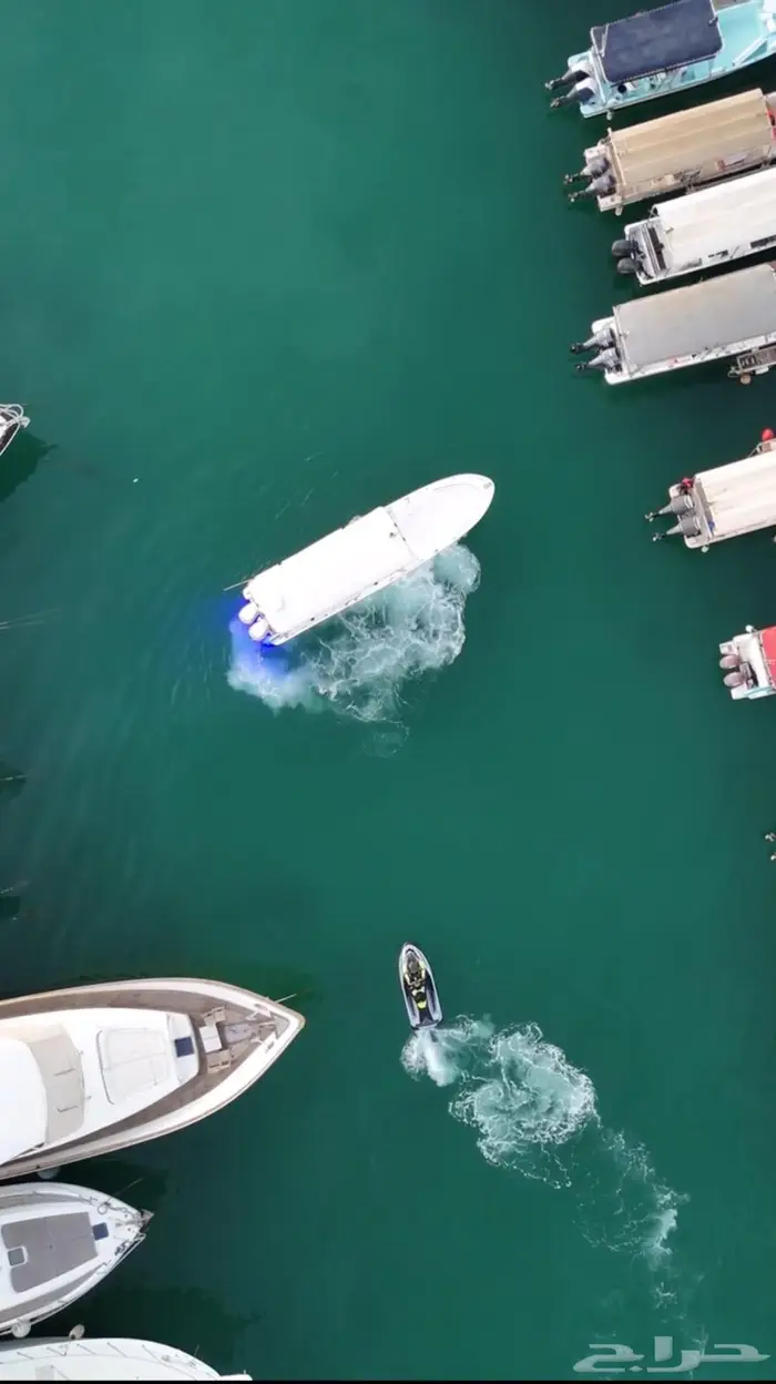 جزيرة بياضه ورحلات صيد ونزهه 14