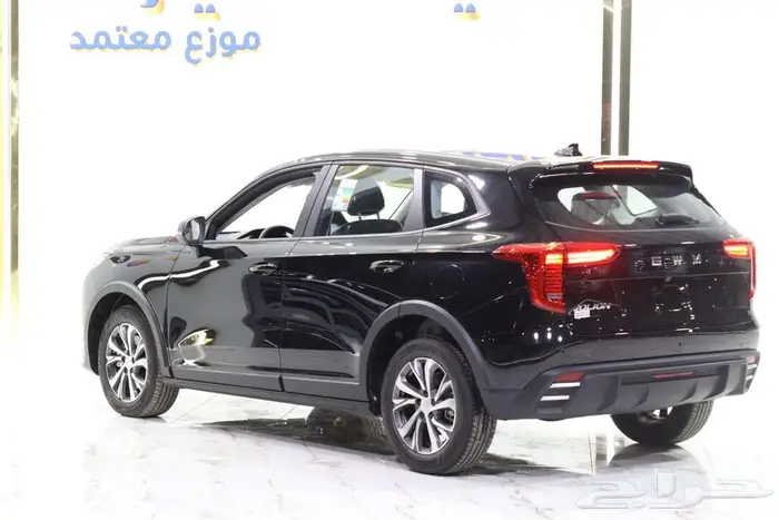هافال جوليان بيسك موديل 2025 صيانه مجانيه 4