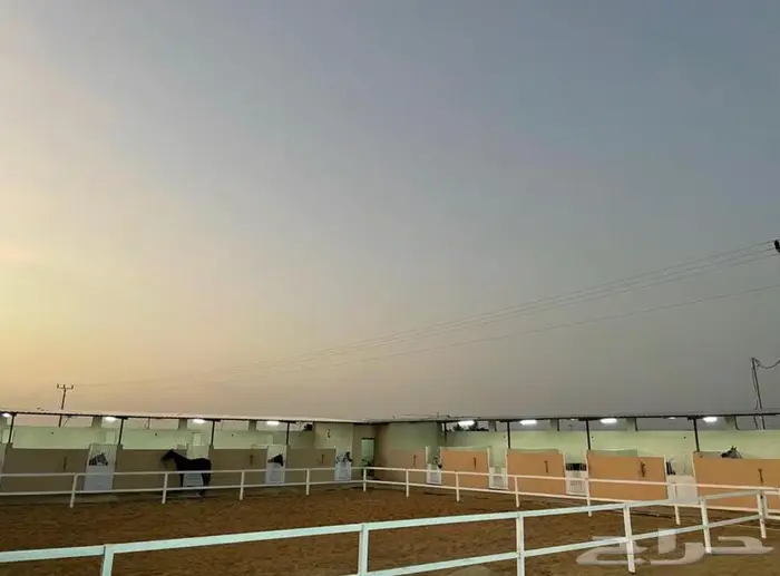 مربط صهيل العاديات لإيواء الخيل 1