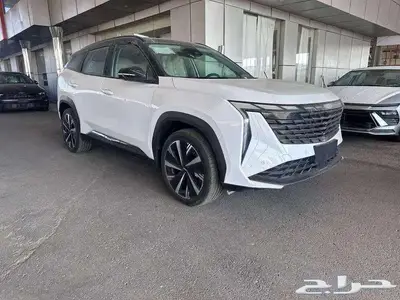 جيلي ستار راي GFبلص 2.0 2024 1