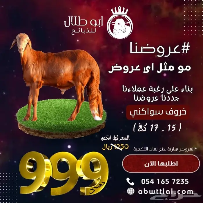 خروف سواكني ب999 ريال بس 0