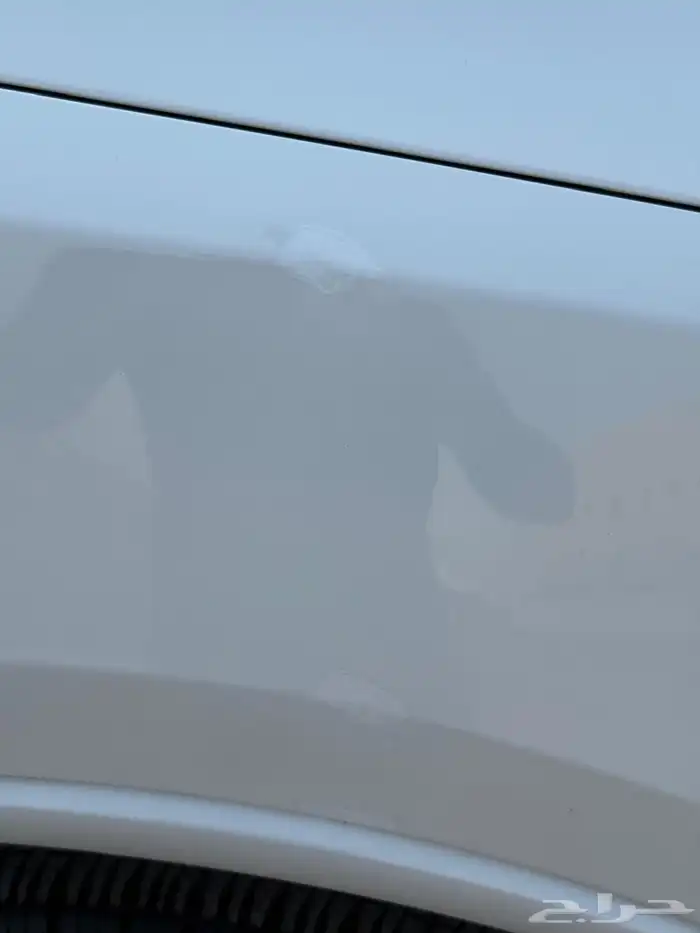 دودج درانجو 2020 GT 10