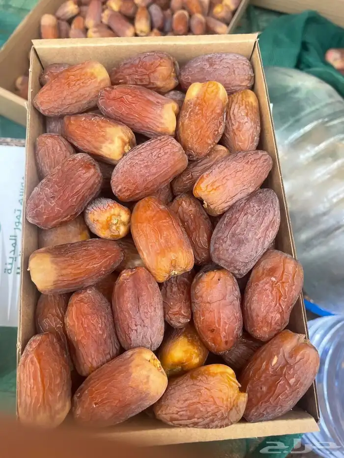 تمور المدينة 5