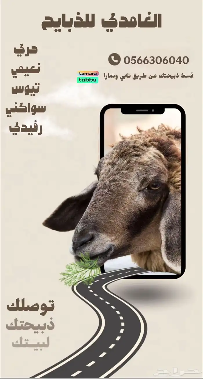 ذبايح الغامدي 0