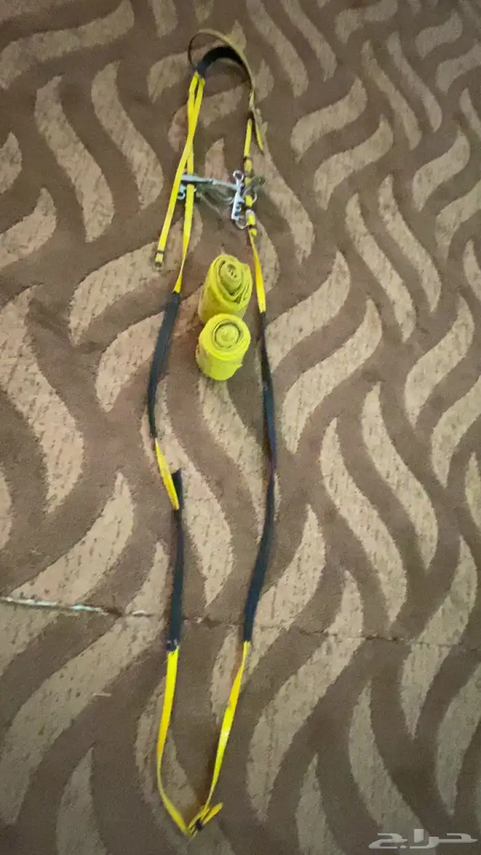 أغراض خيل 2