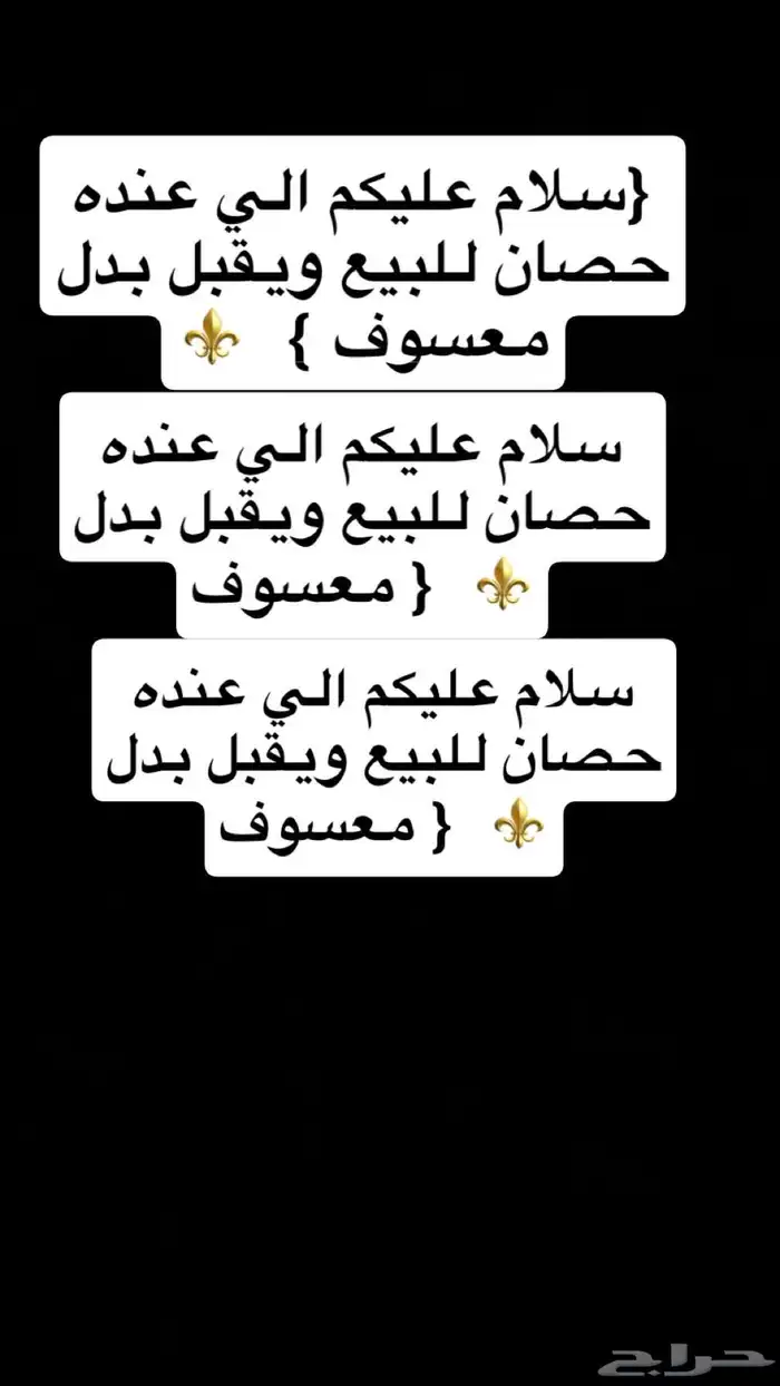 الي عنده حصان معسوف يتوصل خاص 0