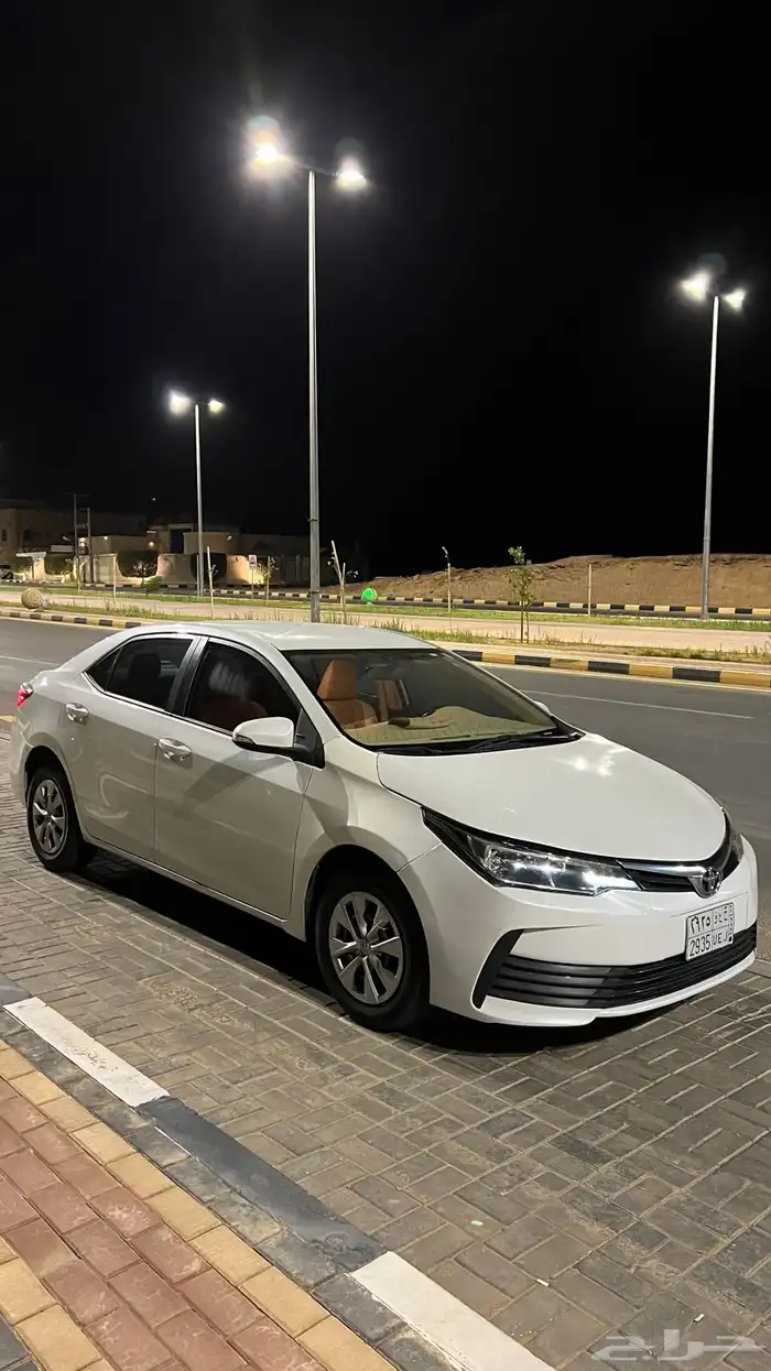 كورلاء XLI2017 5