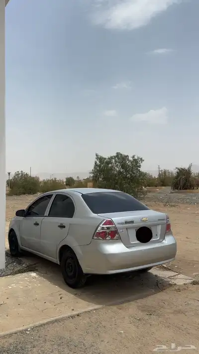 افيو 2013 5