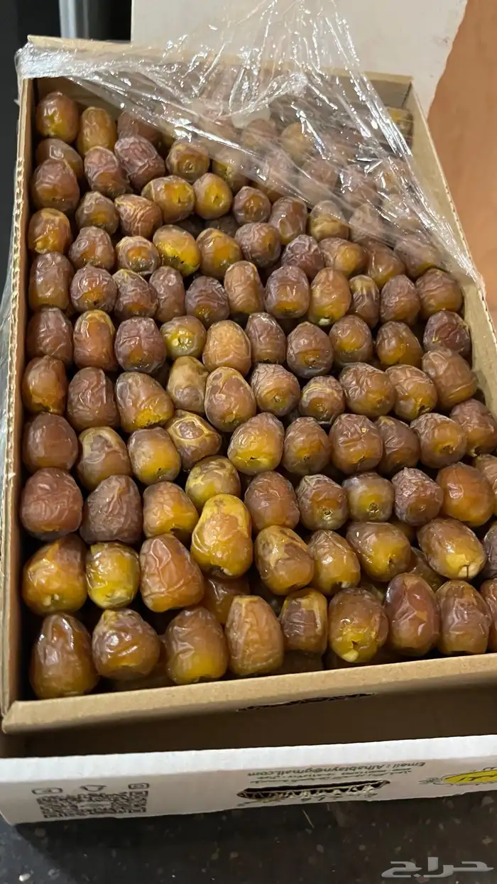 تمر سكري ورشودي ونصايف للبيع 0