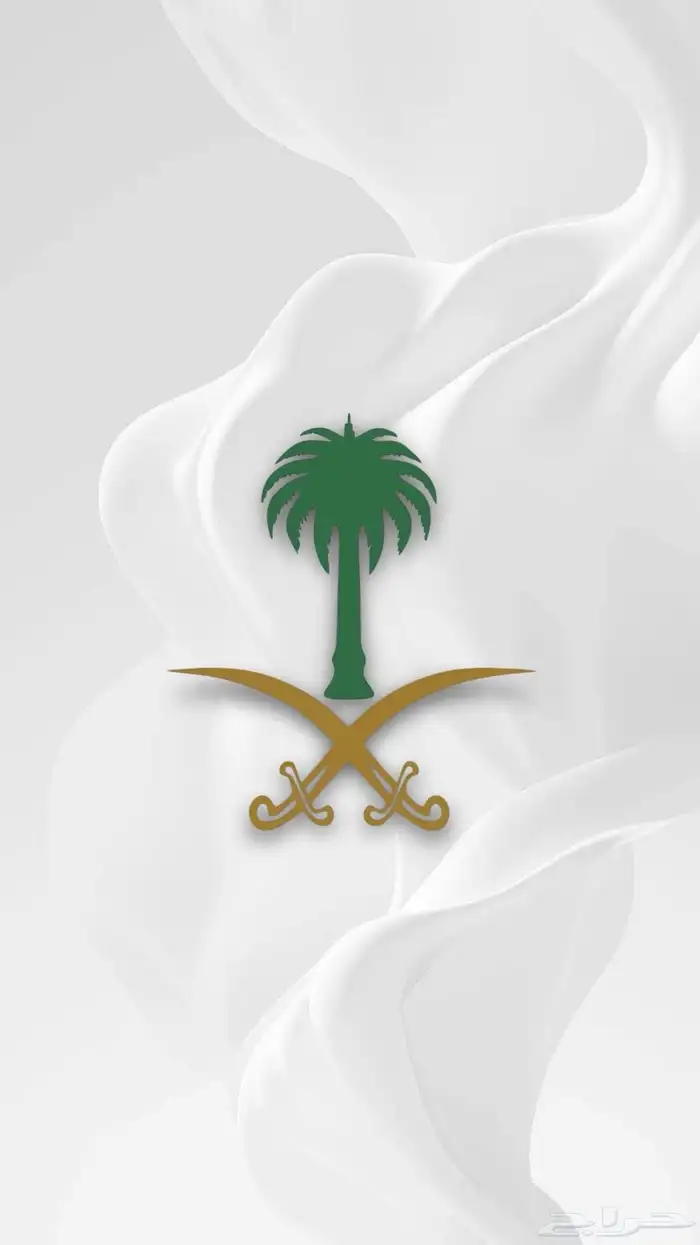مرسيدس S 500 17