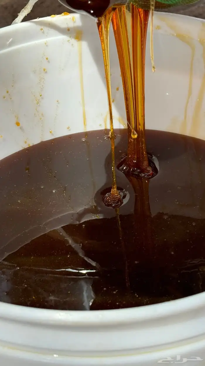 للبيع عسل طلح حايل فرزه اولى مشروط شغلي انا 3