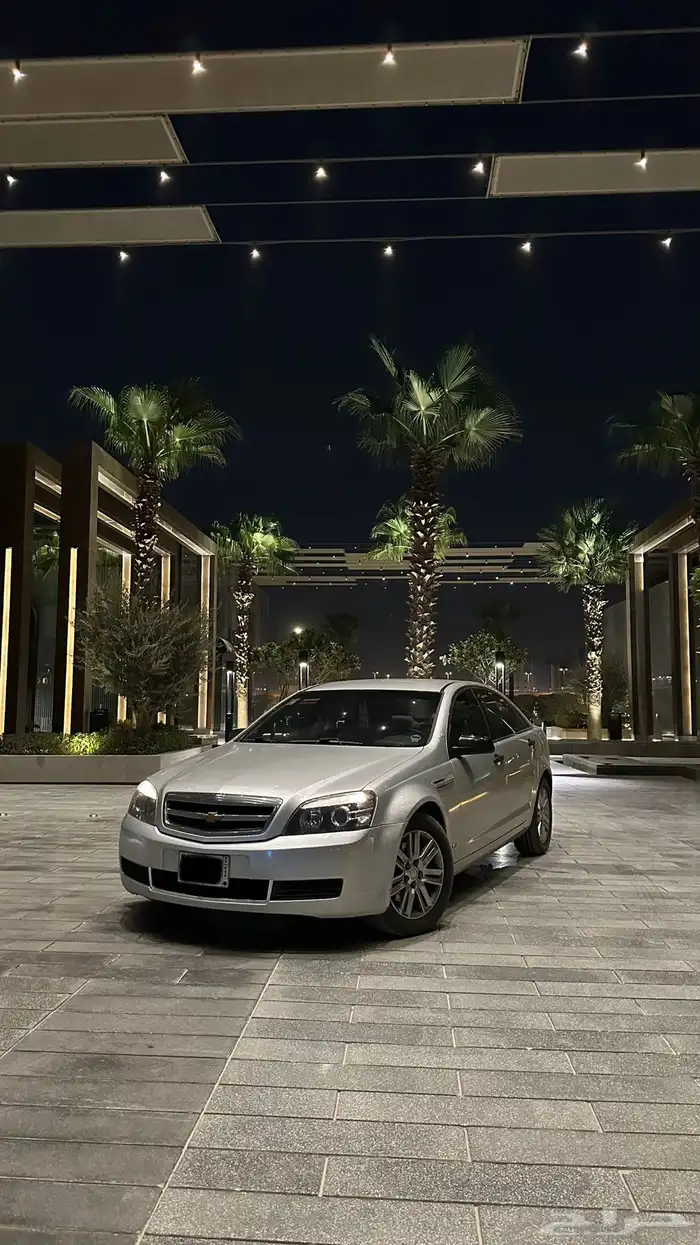 كابرس بلد LS 2013 4