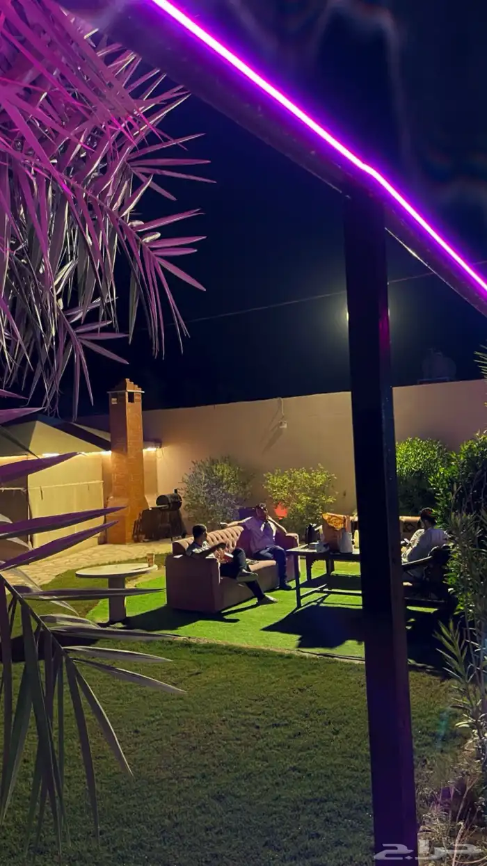 استراحة للايجار هابي نايت مسبحين ديراب 9