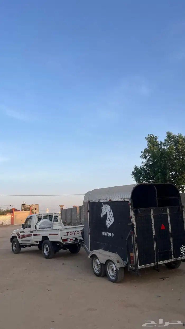 عربه خيل 3