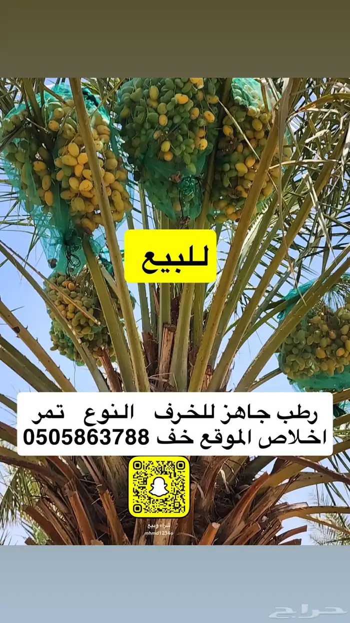 رطب اخلاص البيع جاهز للخرف 0