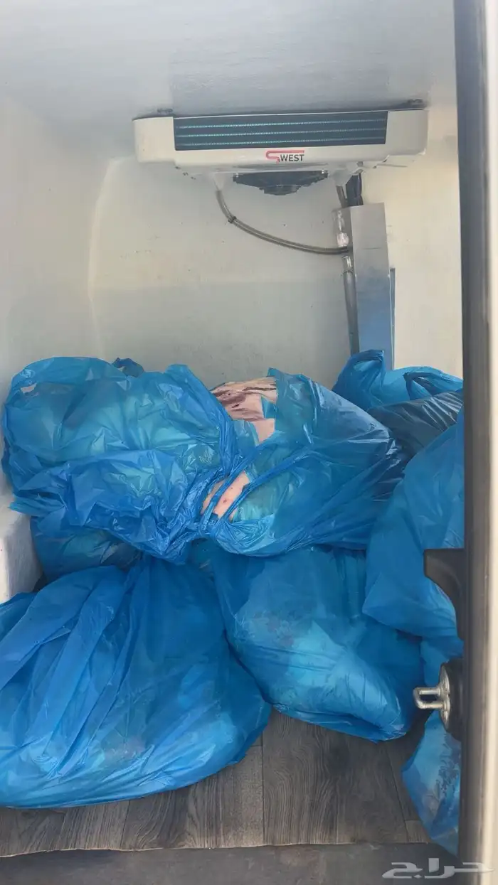 ذبايح حايل 1