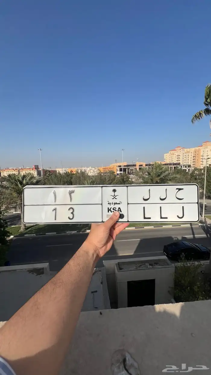 لوحة مميزه ( حلل 13 ) 0