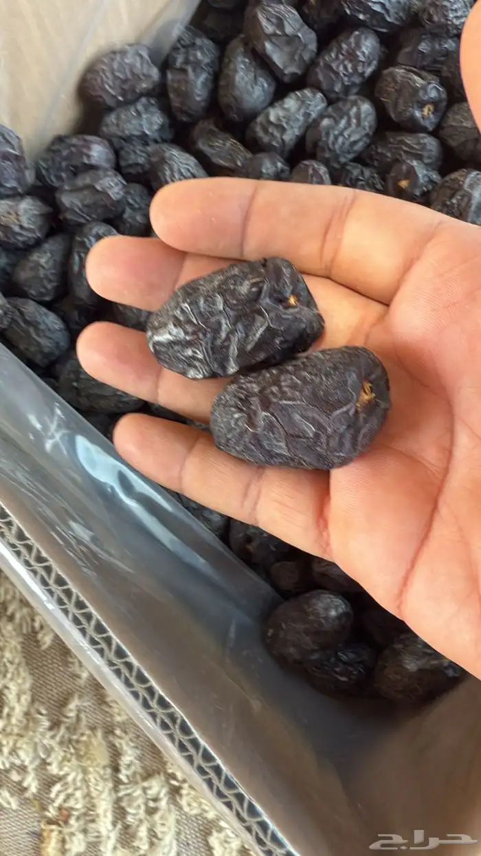 تمور عجوة وصفاوي وبرني العلا 2